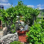 Gaestehaus Moselblick Bed and Breakfast Trittenheim