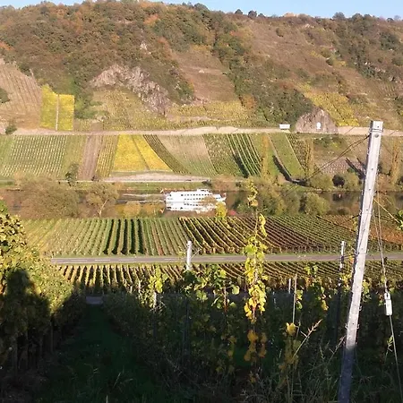 Gaestehaus Moselblick 3* Trittenheim