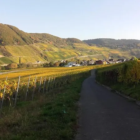 Gaestehaus Moselblick Bed & Breakfast