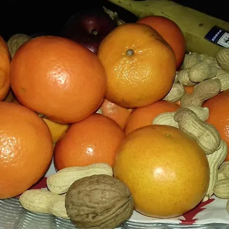 Gaestehaus Moselblick Trittenheim