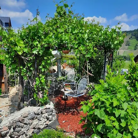 Gaestehaus Moselblick Bed & Breakfast Trittenheim