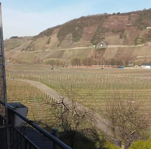 Bed & Breakfast Gaestehaus Moselblick