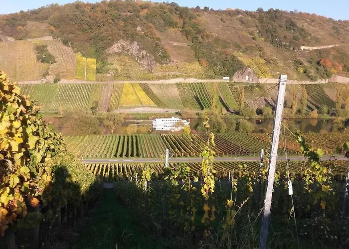 Gaestehaus Moselblick 3* Trittenheim