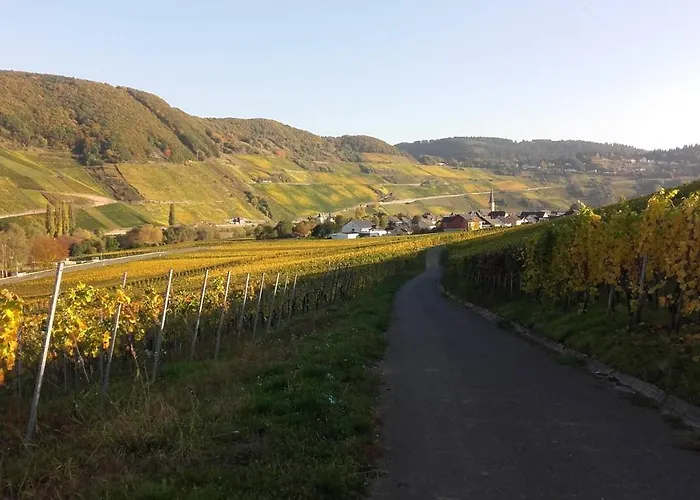 Gaestehaus Moselblick Bed & Breakfast