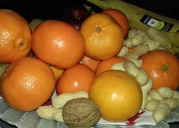 Gaestehaus Moselblick Trittenheim