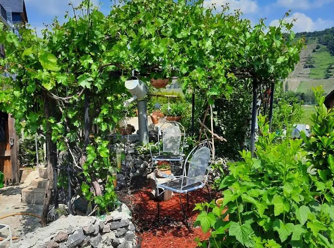 Gaestehaus Moselblick Bed & Breakfast Trittenheim